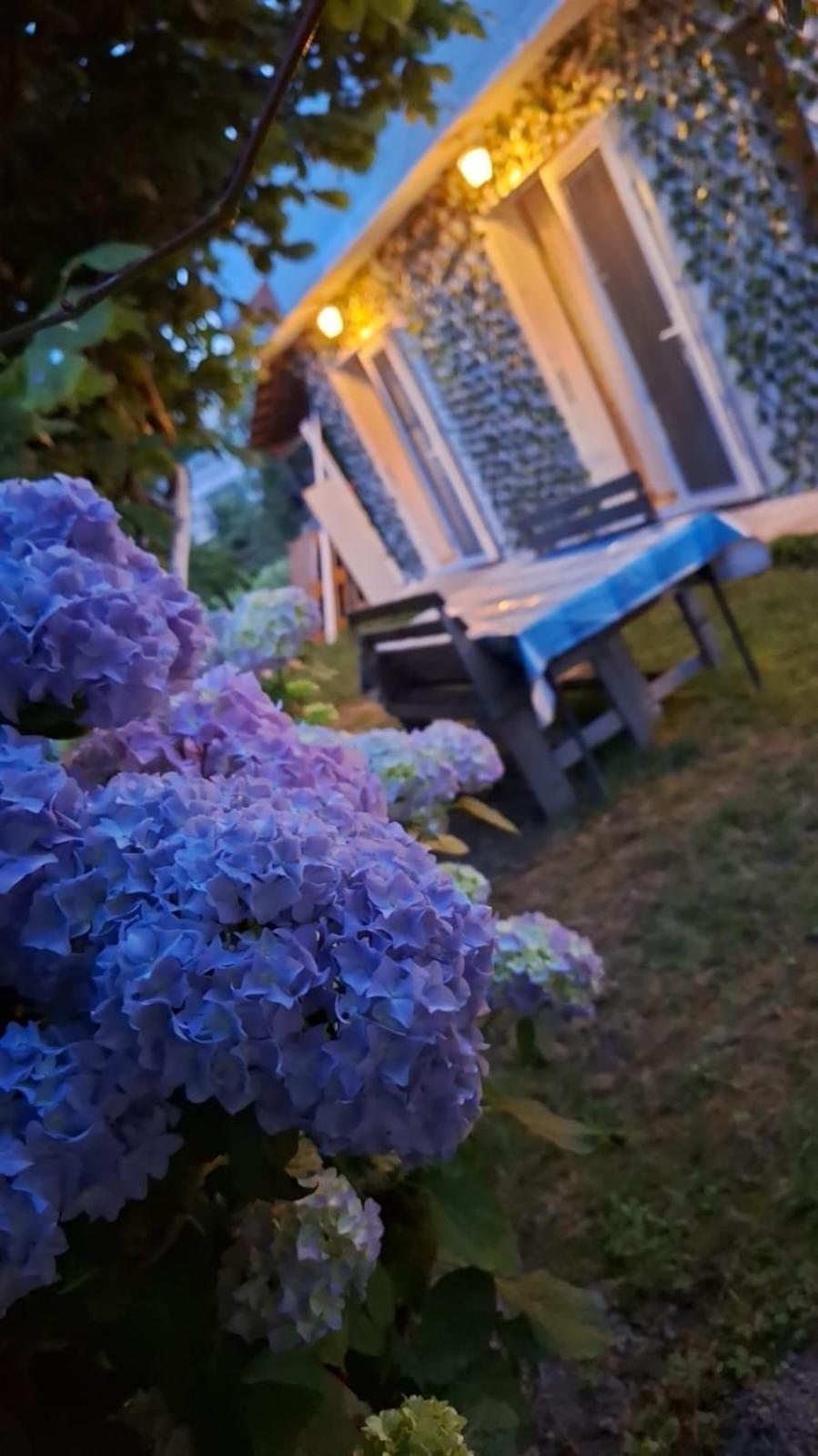 Yahya Rooms Ochryda Zewnętrze zdjęcie